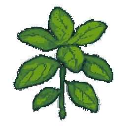 Basil