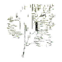 Dill