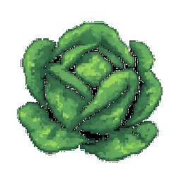 Lettuce