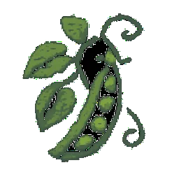 Pea